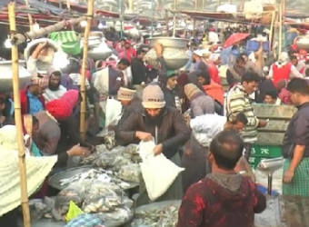 দাম কমলো পাইকারি মাছের আড়তে